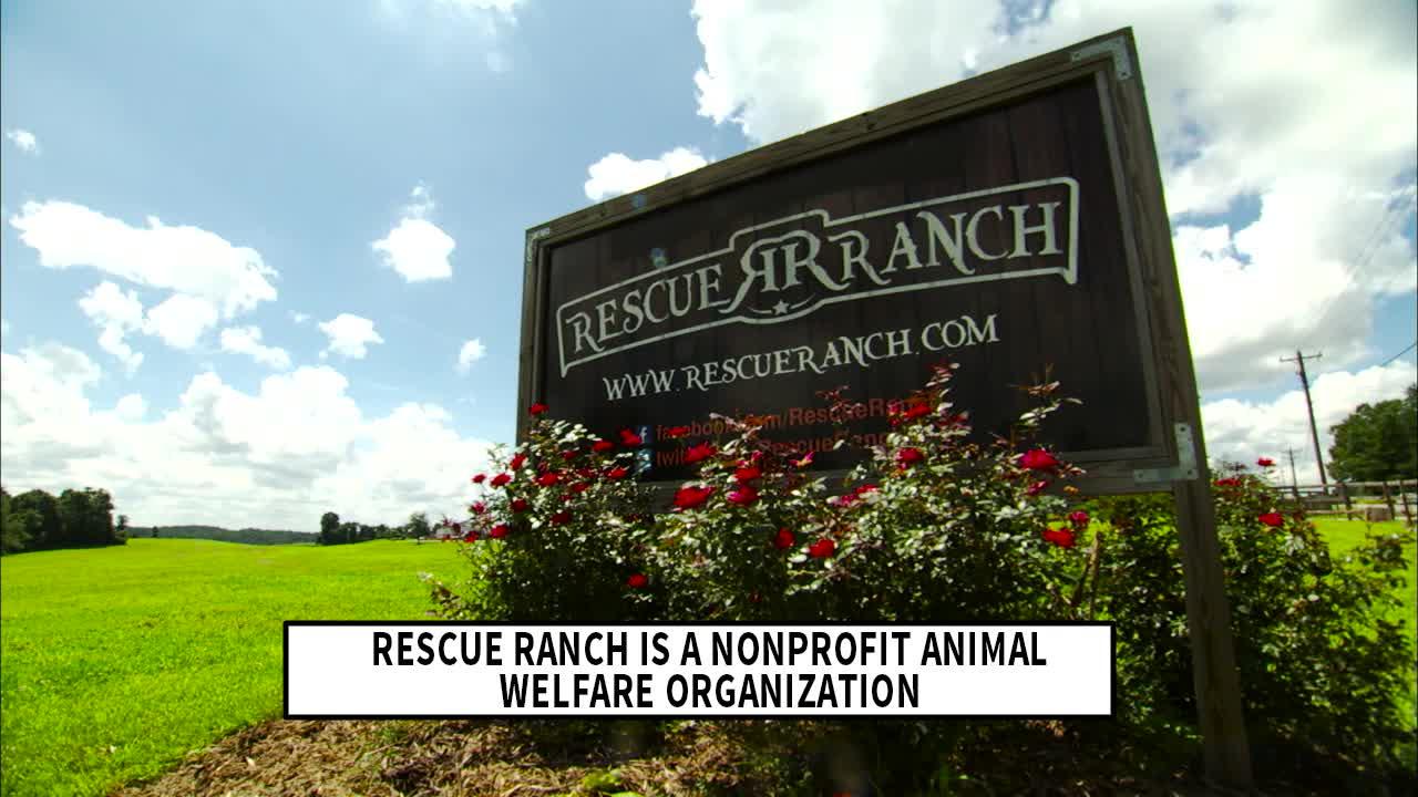 Rescue Ranch launches Earnhardt Family Playground - Official Site Of NASCAR