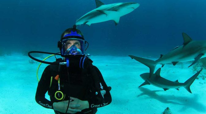 Featured image for Kasey Kahne swims then drives with sharks