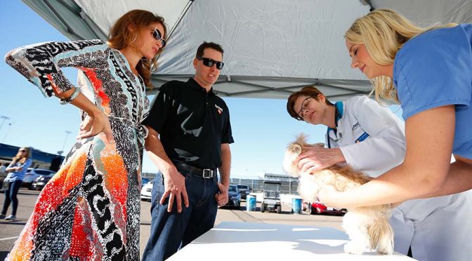 Kyle Busch's pets ride along at Phoenix