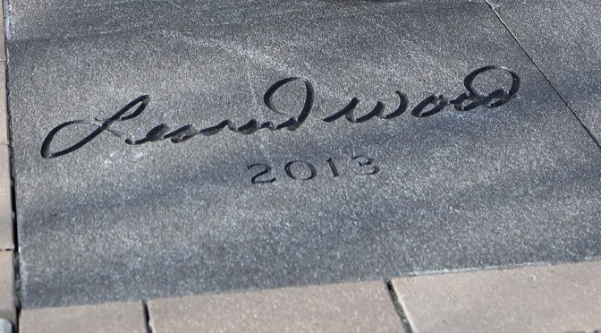 Featured Image for Wood has special send-off at Hall Of Fame