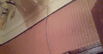 2018 Nov19 Steveluvender Miami Gifs 5