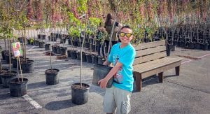 A NASCAR Green tree planting