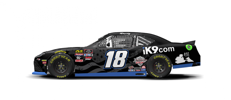 18kyle Busch 2019 Ik9 1200x520 V2
