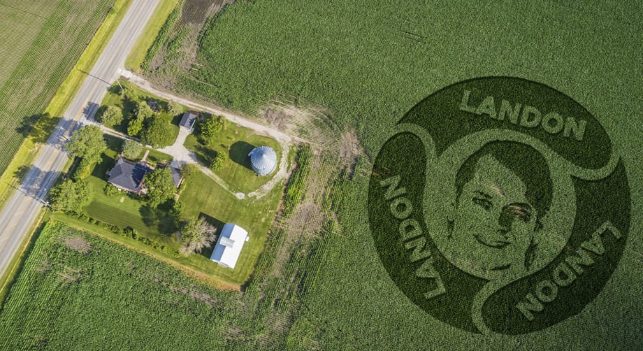 2019 June Cropcircles 2