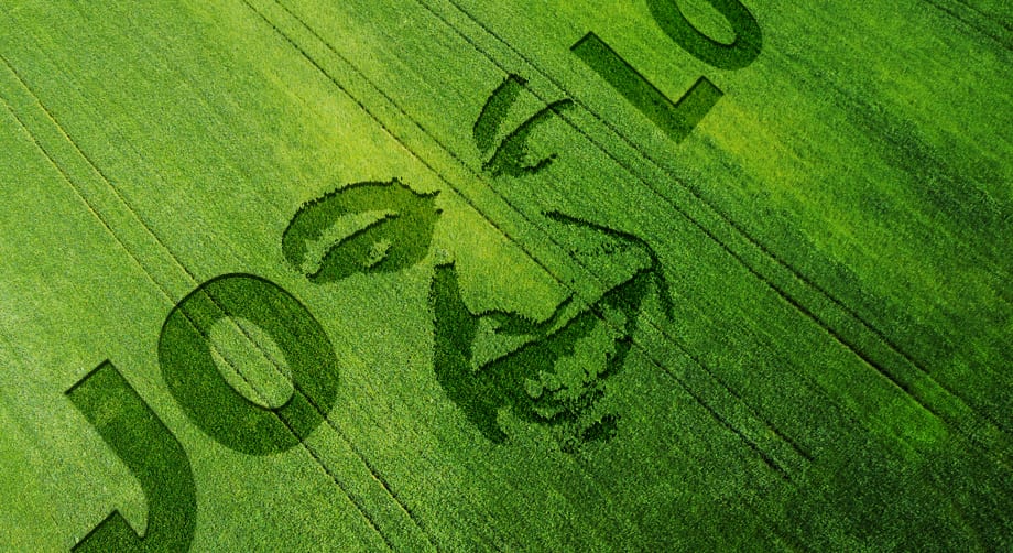 2019 June Cropcircles 4