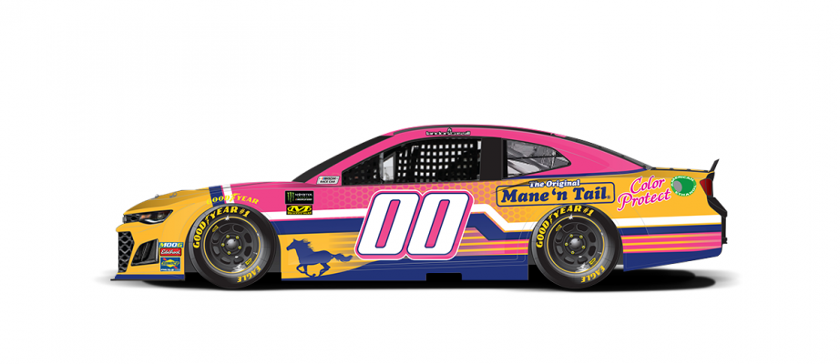 Paint Scheme Preview Pocono 2 2019 Nascar Com