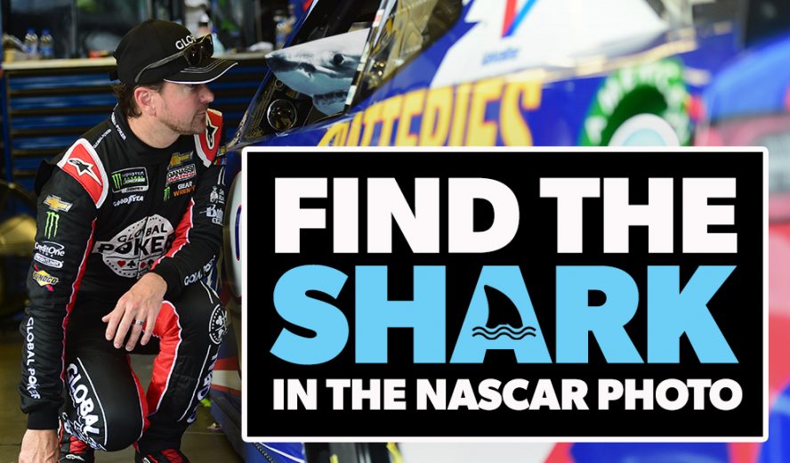 nascarcasm Find the shark in the NASCAR picture