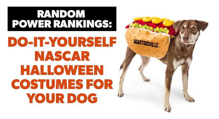 onetigris tactical service dog vest