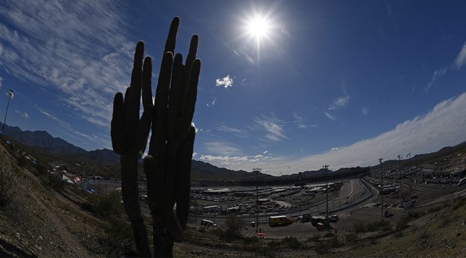 Phoenix 101: Key stats, TV times, rules info and more