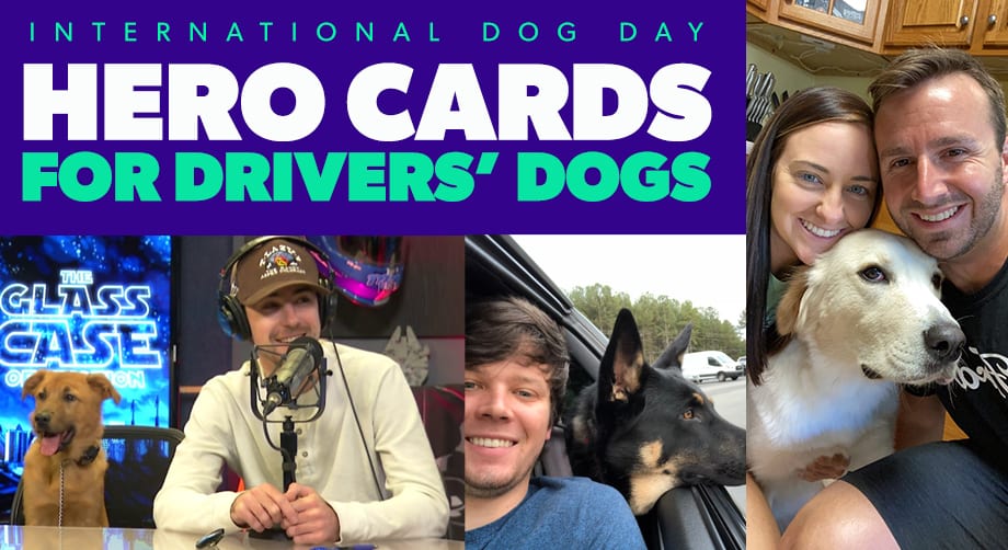nascarcasm Hero cards for drivers' dogs NASCAR