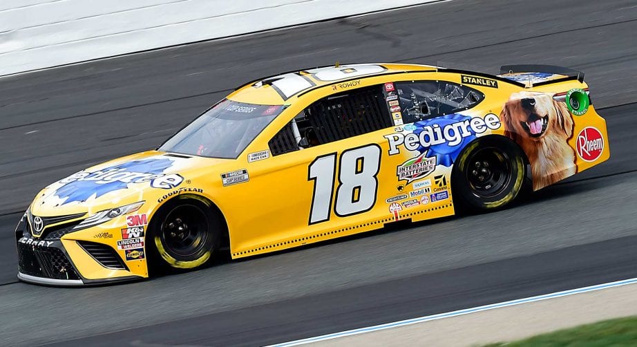 Kyle Busch 2020 paint schemes in review NASCAR