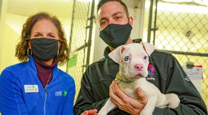 Featured image for Ally makes donation to Humane Society of Charlotte with Bowman’s support