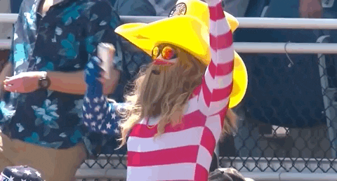 Usa Fan Costume