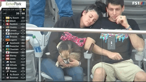 Fans On Tv With Dog