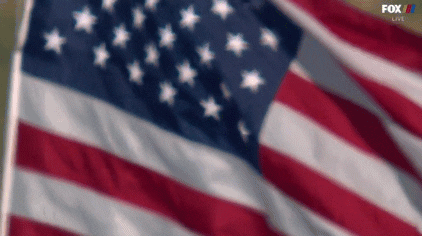 Usa Flag