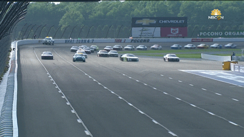 Pit Stops 9 Fake