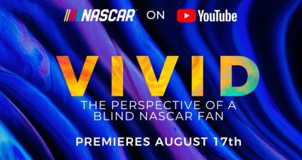 An image that previews Vivid project