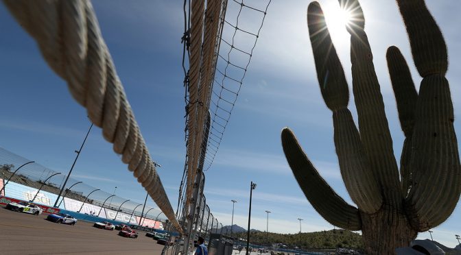 Phoenix Turning Point: Leaving Las Vegas with thoughts about parity; searching for a desert flower