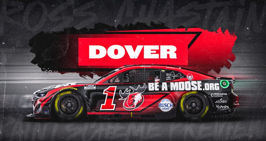 paint scheme graphic