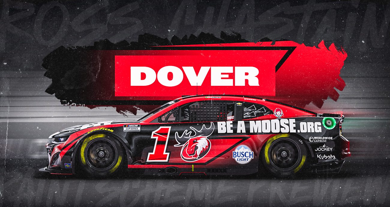 paint scheme graphic