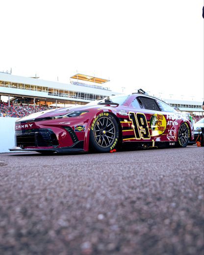 truex 19 car