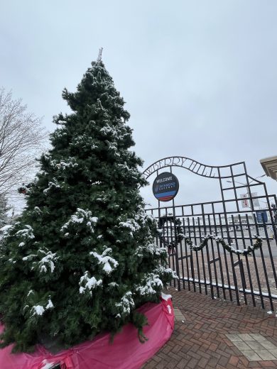 A tree stands covered with snow at Richmond Raceway.