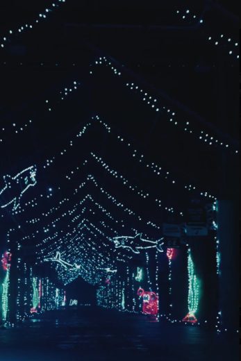 Holiday lights at Bristol.